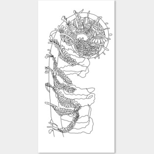 Fiddlehead Fern Illustration Posters and Art