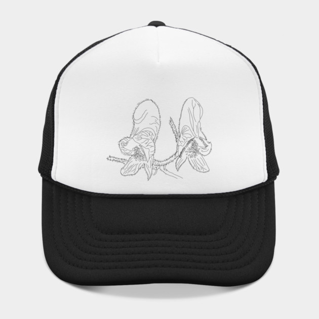 Monkshood Illustration by H. R. Sinclair