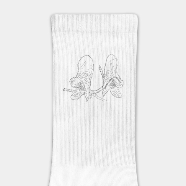 Monkshood Illustration by H. R. Sinclair