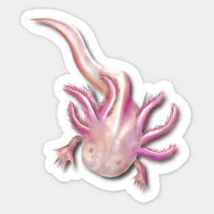Illustrated Albino Axolotl Sticker