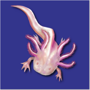 Illustrated Albino Axolotl Posters and Art
