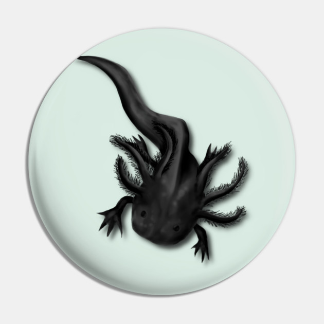 Illustrated Melanoid Axolotl Pin by H. R. Sinclair