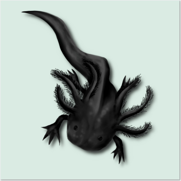 Illustrated Melanoid Axolotl Wall Art by H. R. Sinclair