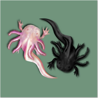 Black and White Axolotls Art Posters and Art