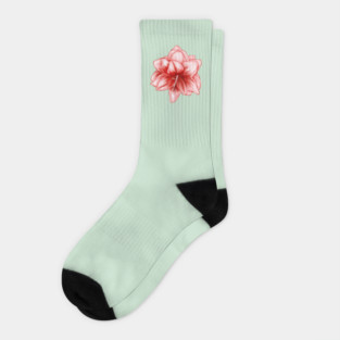 Vintage-look Pink and White Amaryllis Socks