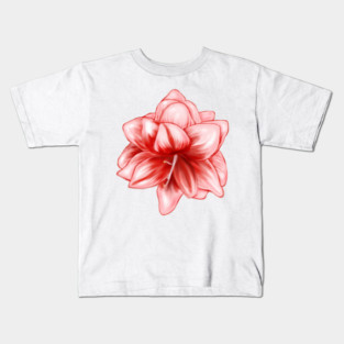 Vintage-look Pink and White Amaryllis Kids T-Shirt