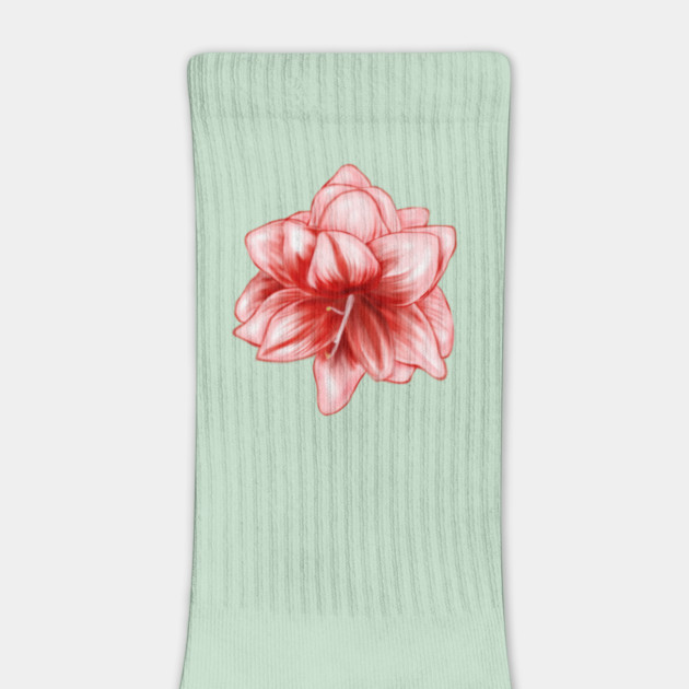 Vintage-look Pink and White Amaryllis by H. R. Sinclair