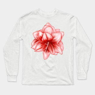 Vintage-look Pink and White Amaryllis Long Sleeve T-Shirt