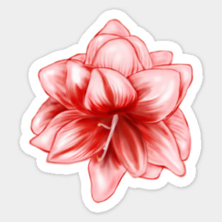 Vintage-look Pink and White Amaryllis Sticker