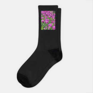 Purple Tulips Socks