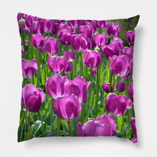 Purple Tulips Pillow