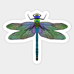 Colorful Emperor Dragonfly Art Sticker