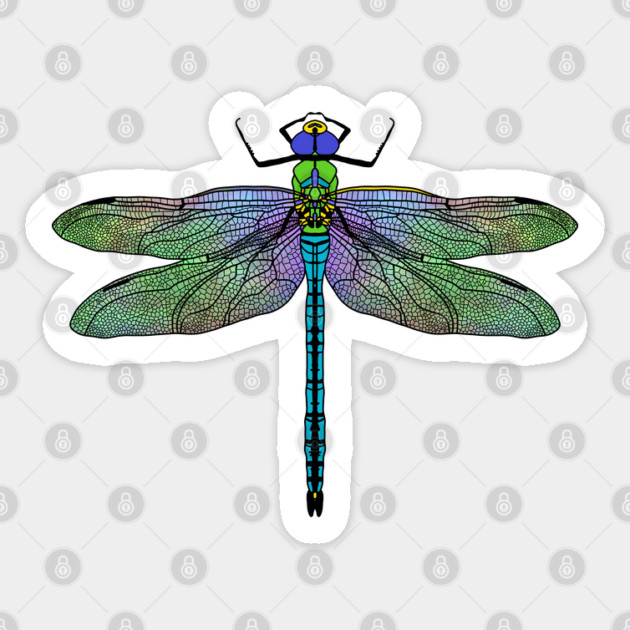 Colorful Emperor Dragonfly Art Sticker by H. R. Sinclair
