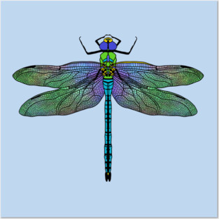 Colorful Emperor Dragonfly Art Posters and Art