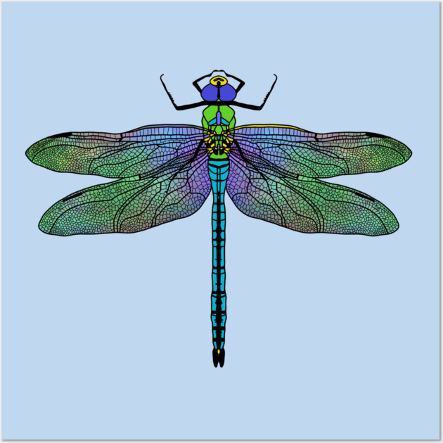 Colorful Emperor Dragonfly Art Wall Art by H. R. Sinclair