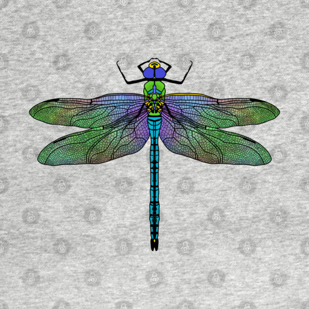 Colorful Emperor Dragonfly Art by H. R. Sinclair