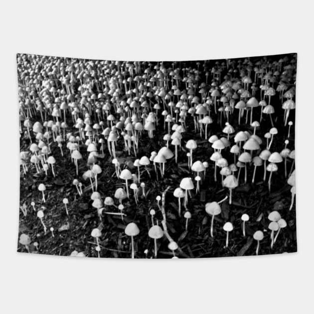Black and White Mushroom Colony Tapestry by H. R. Sinclair