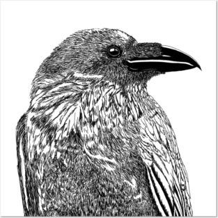 Raven Illustration Posters and Art