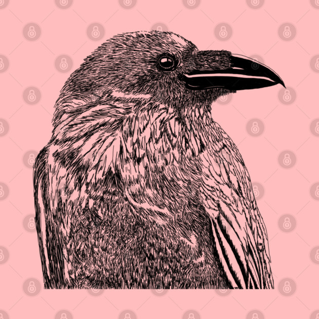 Raven Illustration by H. R. Sinclair