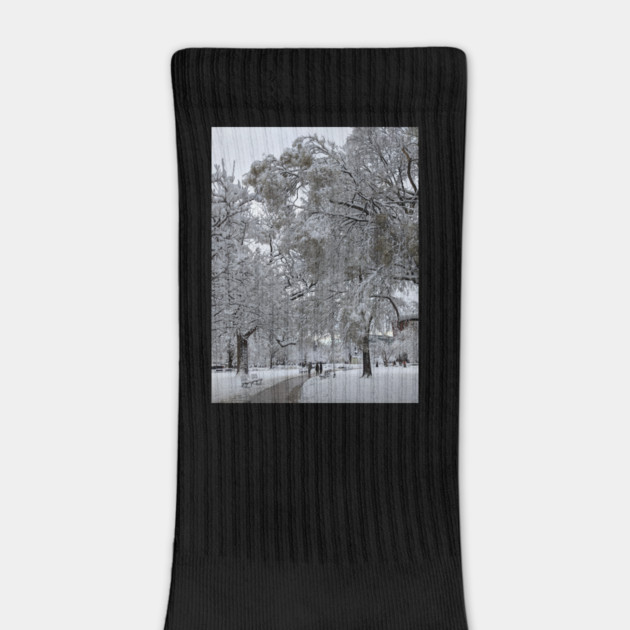 Lafayette Square, Washington, DC, winter path by H. R. Sinclair