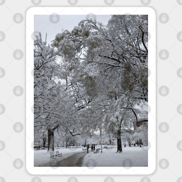 Lafayette Square, Washington, DC, winter path Sticker by H. R. Sinclair