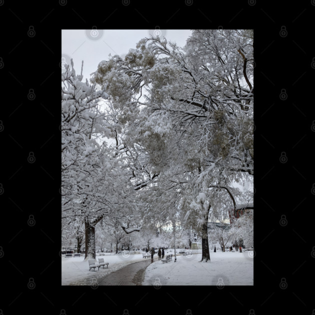 Lafayette Square, Washington, DC, winter path by H. R. Sinclair