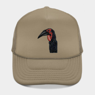 Southern Ground Hornbill Illustration Hat