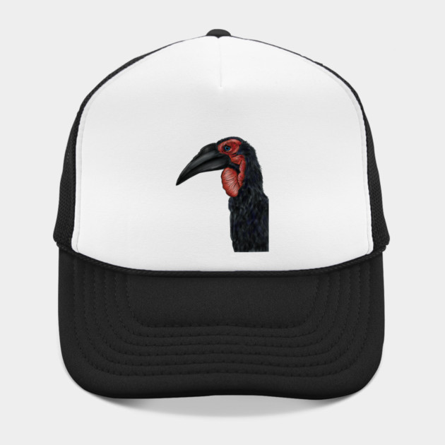 Southern Ground Hornbill Illustration by H. R. Sinclair