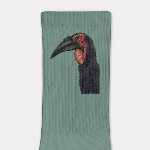 Southern Ground Hornbill Illustration by H. R. Sinclair