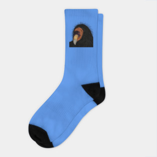 Illustrated California Condor Socks