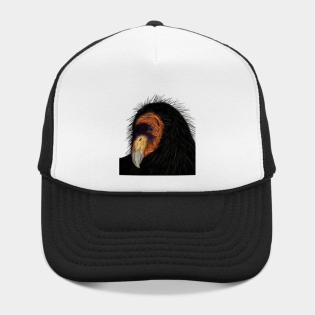 Illustrated California Condor by H. R. Sinclair