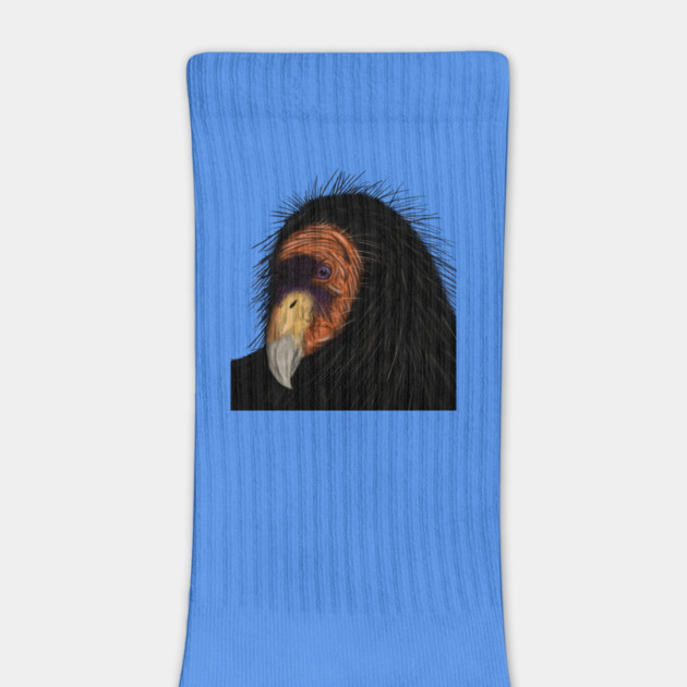 Illustrated California Condor by H. R. Sinclair