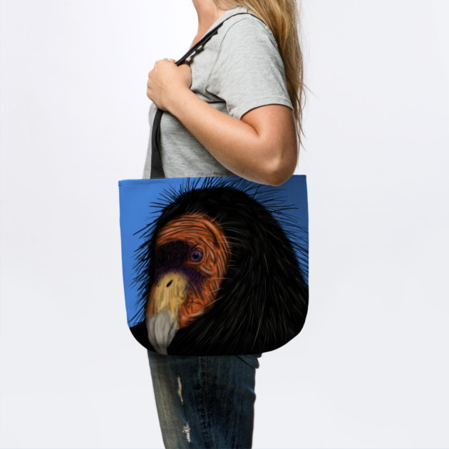 Illustrated California Condor by H. R. Sinclair