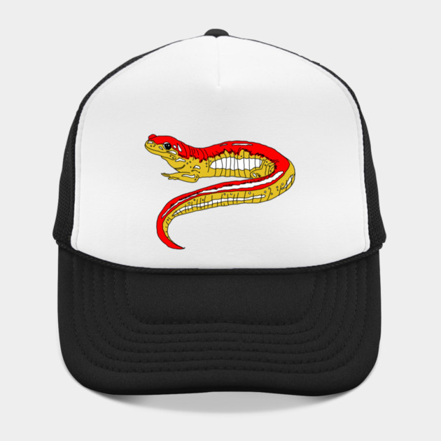 Red and Yellow Salamander by H. R. Sinclair