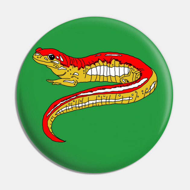 Red and Yellow Salamander Pin by H. R. Sinclair