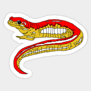 Red and Yellow Salamander Sticker