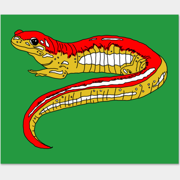 Red and Yellow Salamander Wall Art by H. R. Sinclair