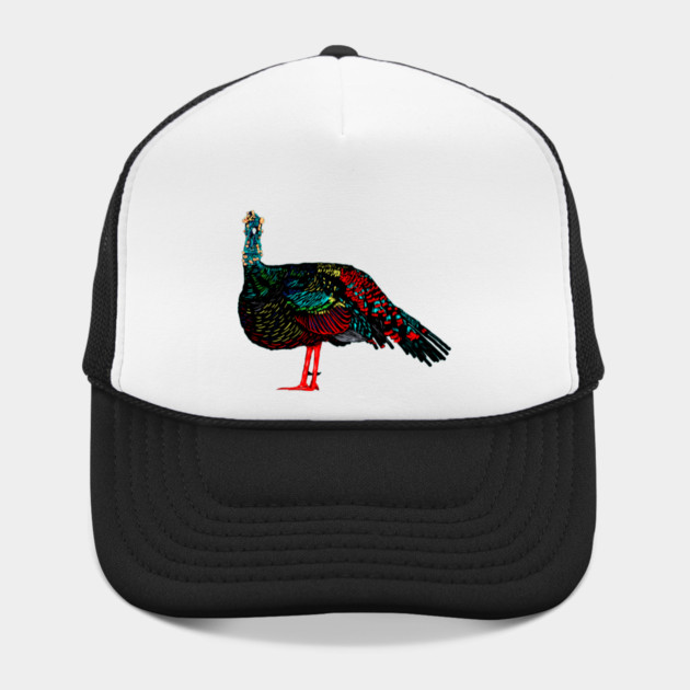 Ocellated Turkey by H. R. Sinclair