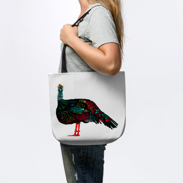 Ocellated Turkey by H. R. Sinclair