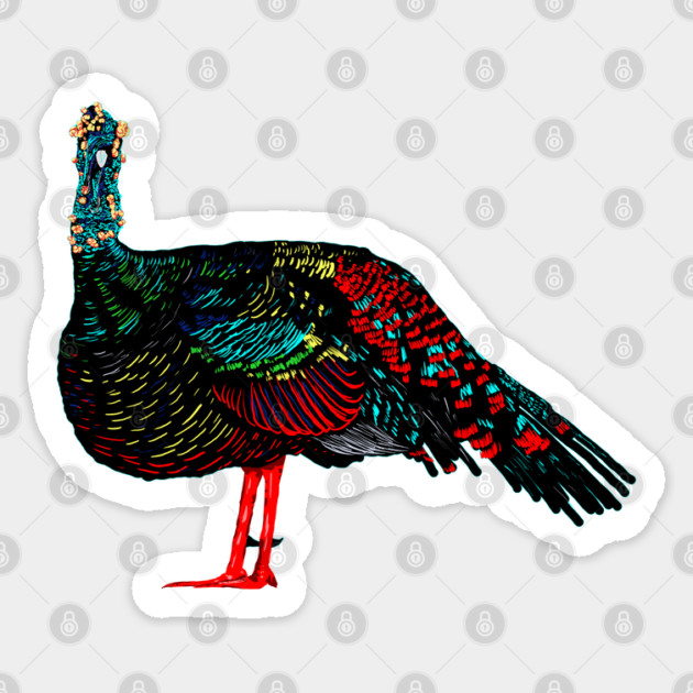 Ocellated Turkey Sticker by H. R. Sinclair