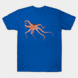 Octopus Hugs T-Shirt