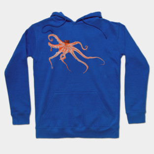 Octopus Hugs Hoodie