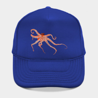 Octopus Hugs Hat
