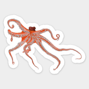 Octopus Hugs Sticker