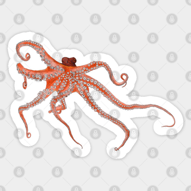 Octopus Hugs Sticker by H. R. Sinclair