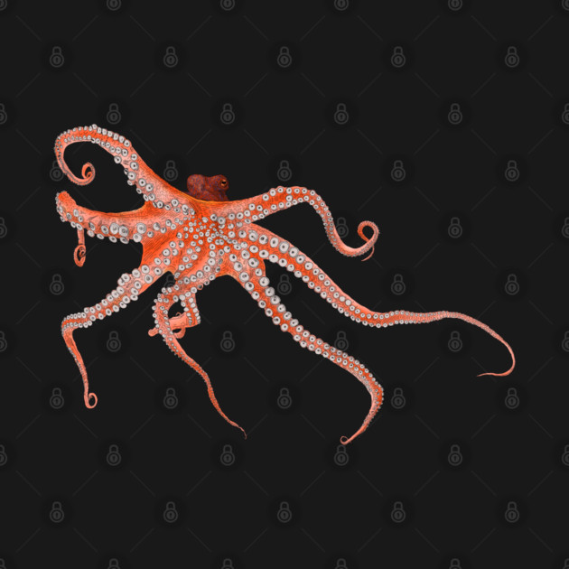 Octopus Hugs by H. R. Sinclair