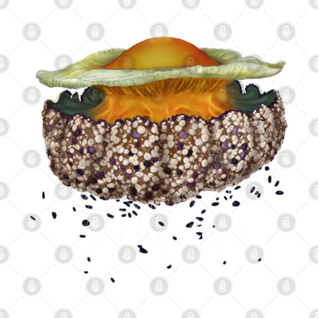 Illustrated Fried Egg Jellyfish by H. R. Sinclair