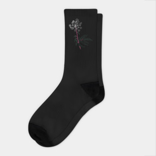 Water Hemlock Socks