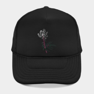 Water Hemlock Hat