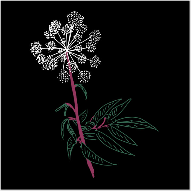 Water Hemlock Wall Art by H. R. Sinclair